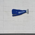 SuperBowl2015_016 (February 01, 2015)